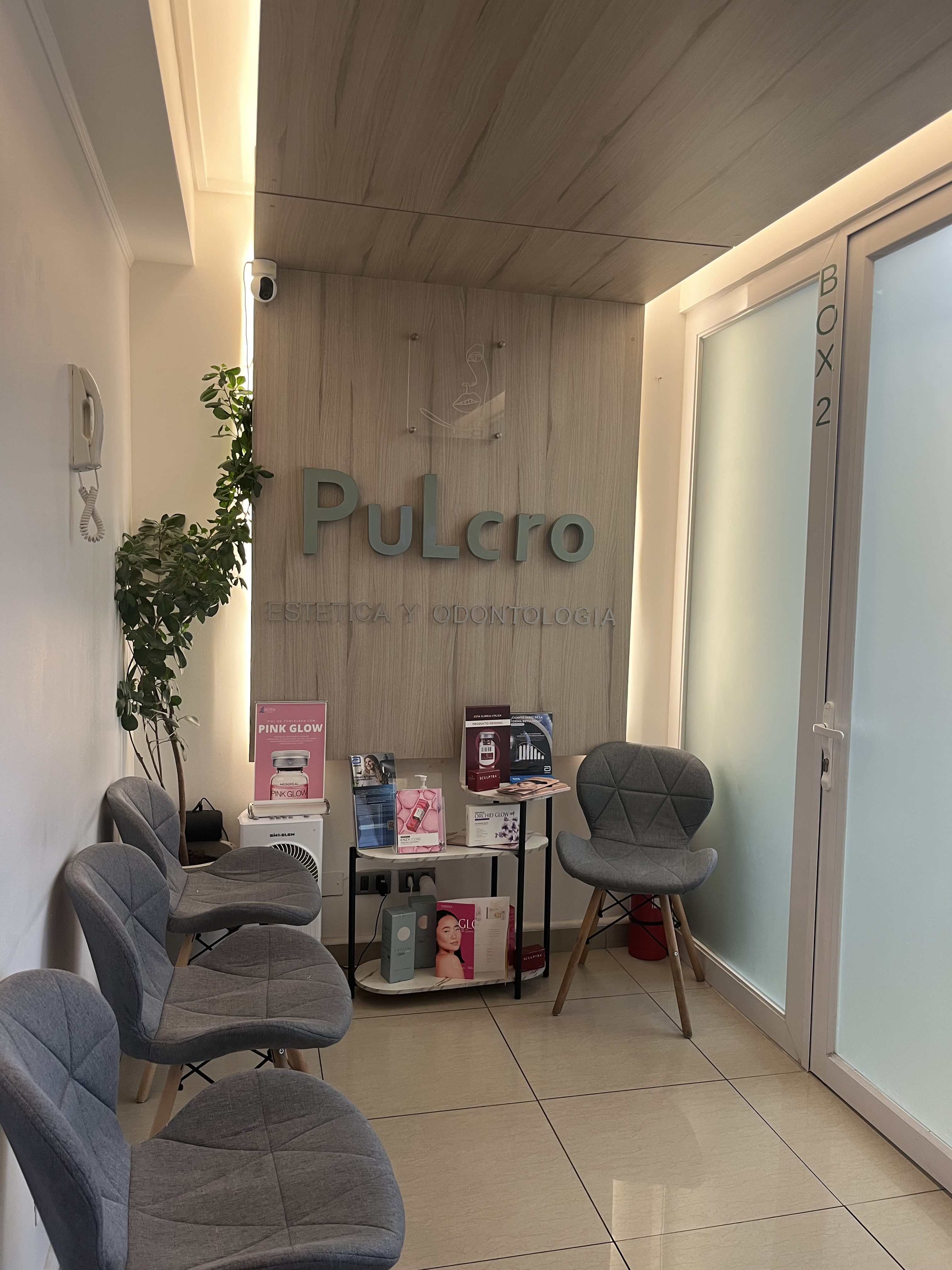 Clínica Pulcro